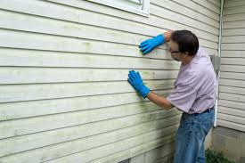 Best Siding Repair  in Carbonville, UT